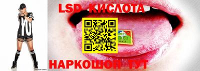 Альфа ПВП Кингисепп