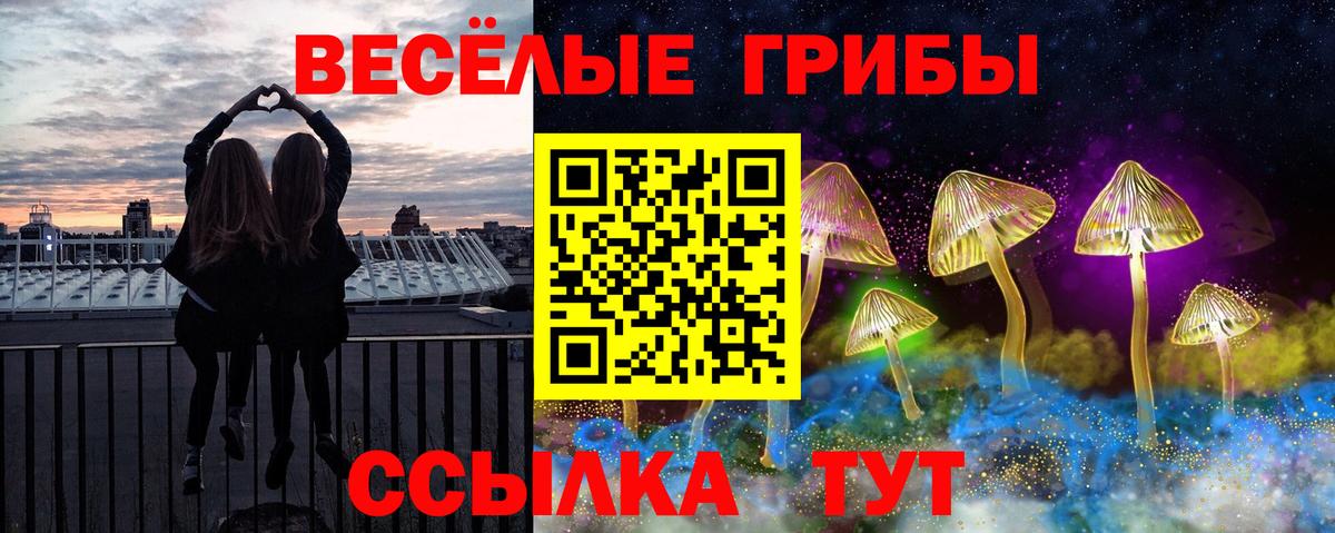 Галлюциногенные грибы Psilocybe Костомукша